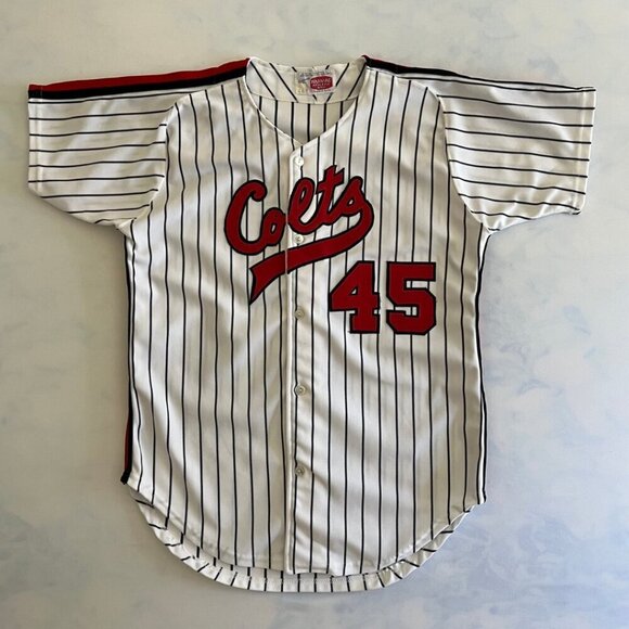 Other - Vintage Houston Colts Number 45 Baseball Jersey
